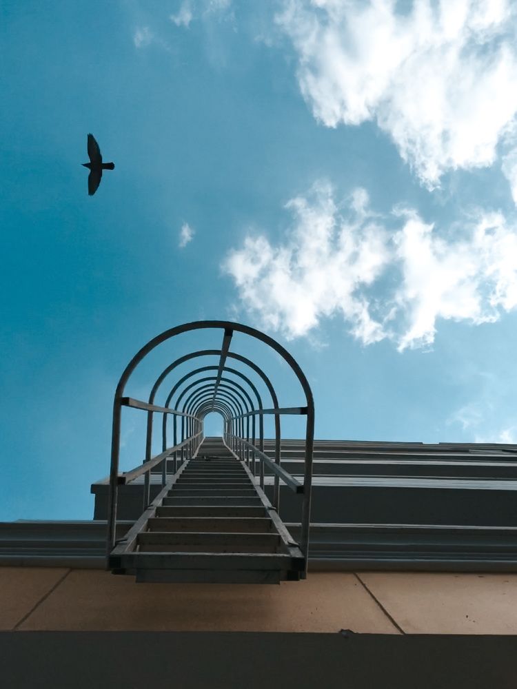 Фотография автора almusawi redha