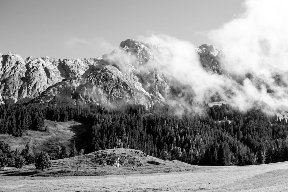 Photograph by Terēze Štube