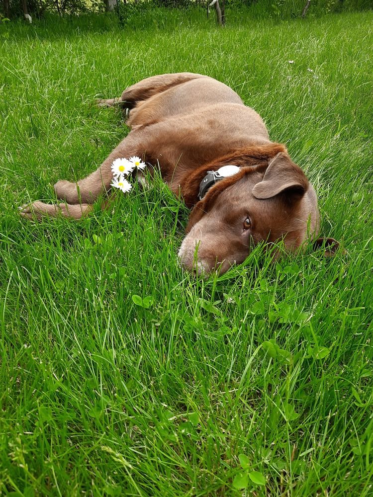 Photograph by Оксана Хабарова