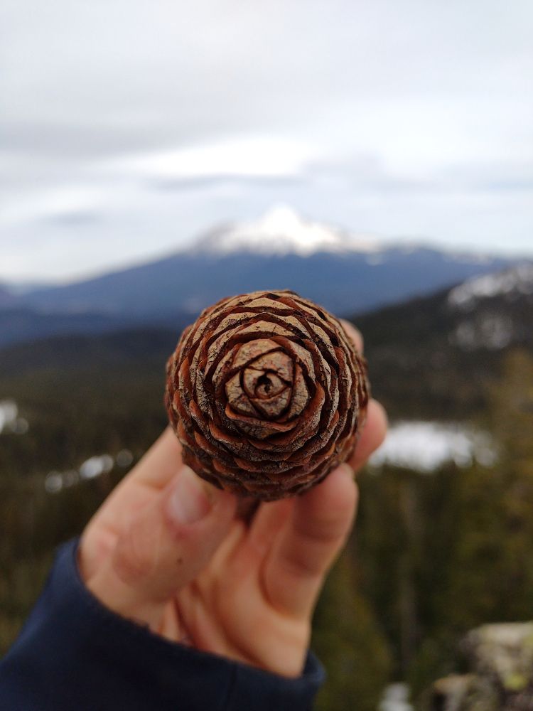 Photograph by Nicolai Mojar