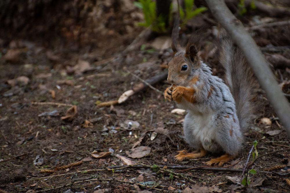 Фотография автора Войнов Дмитрий