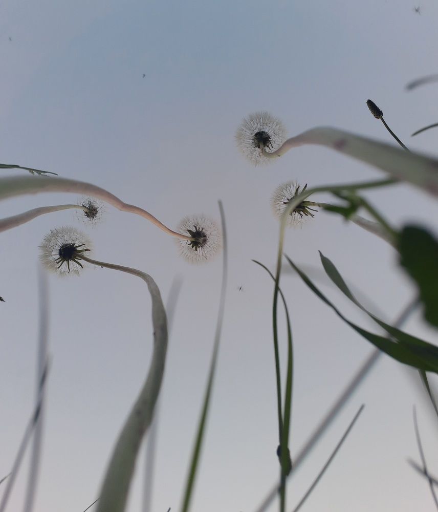 Photograph by Оксана Хабарова