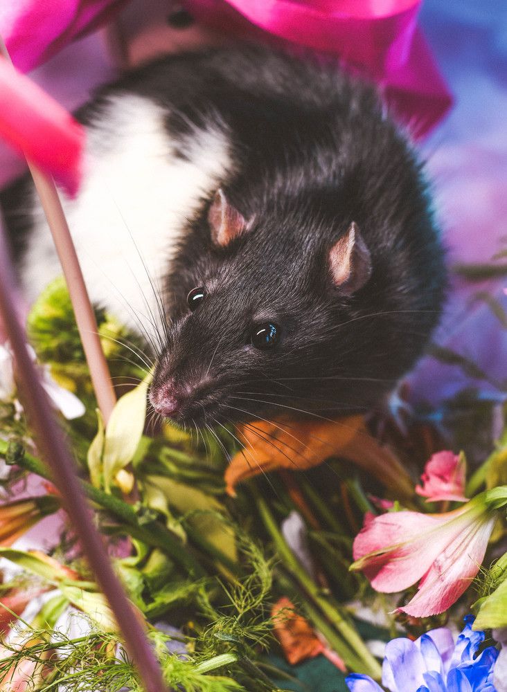 Photograph by Екатерина Свириденко