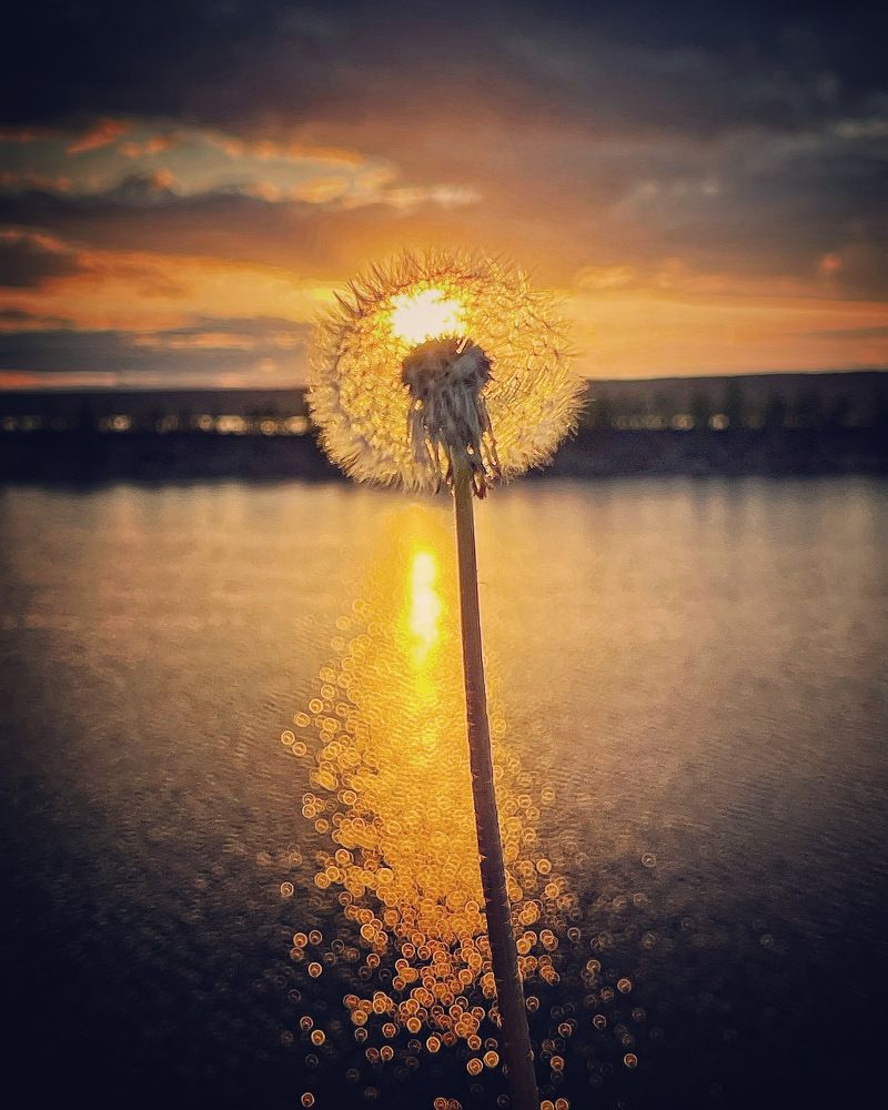 Photograph by Kira Bahvalova