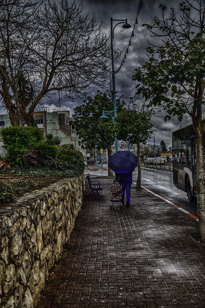 Photograph by Владимир Бутов