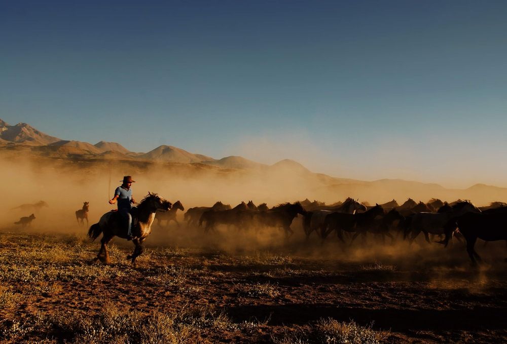 Photograph by Esin Sağır