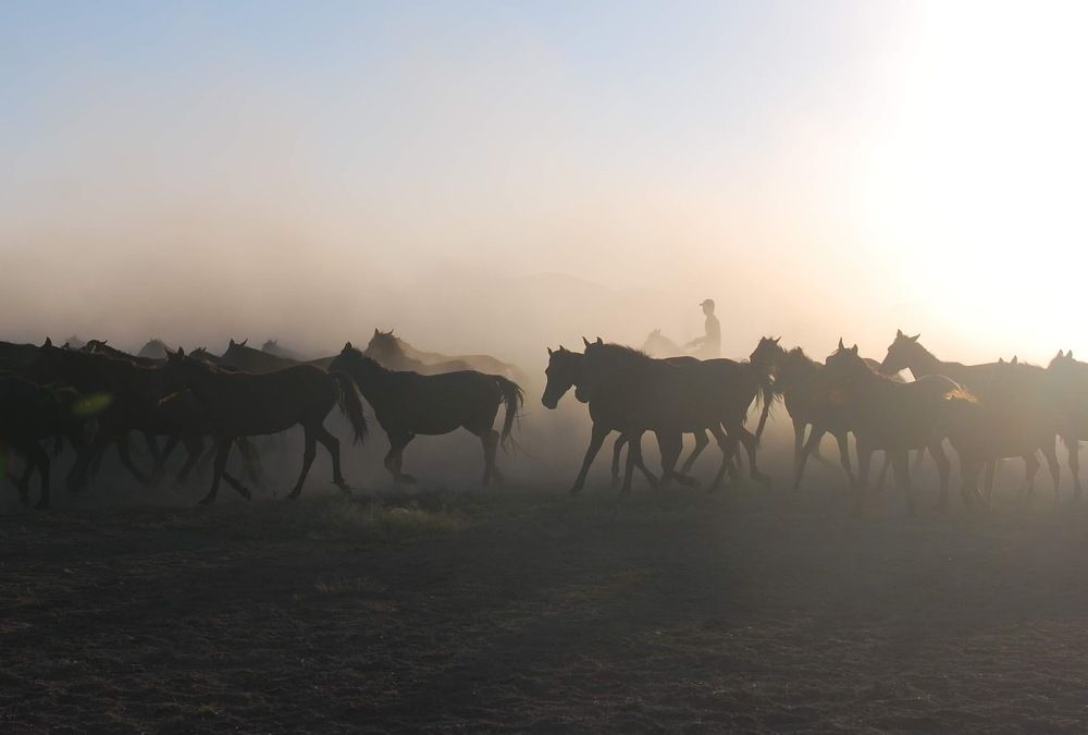 Photograph by Esin Sağır