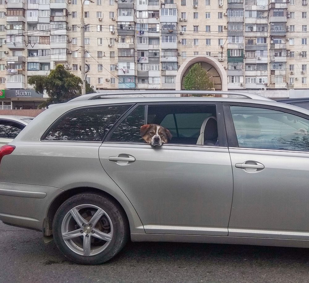 Photograph by Сергей Христинич