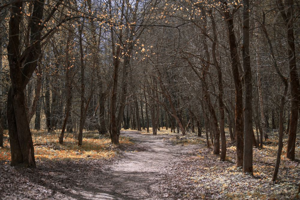 Фотография автора Войнов Дмитрий