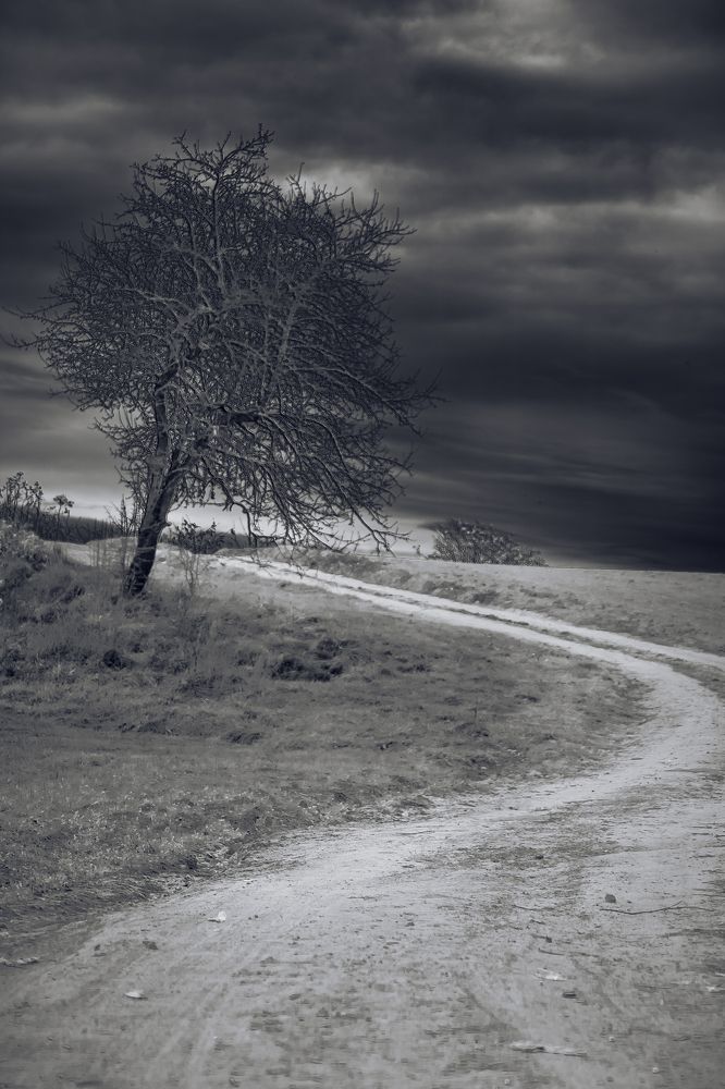 Фотография автора Мария Амбражевич