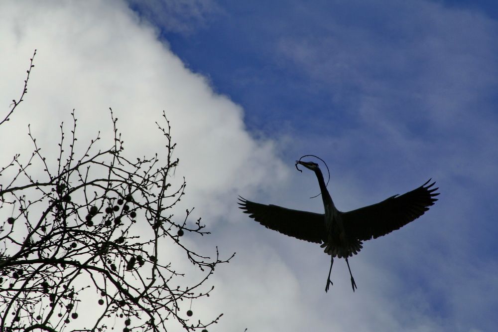 Photograph by Sergey Bykov