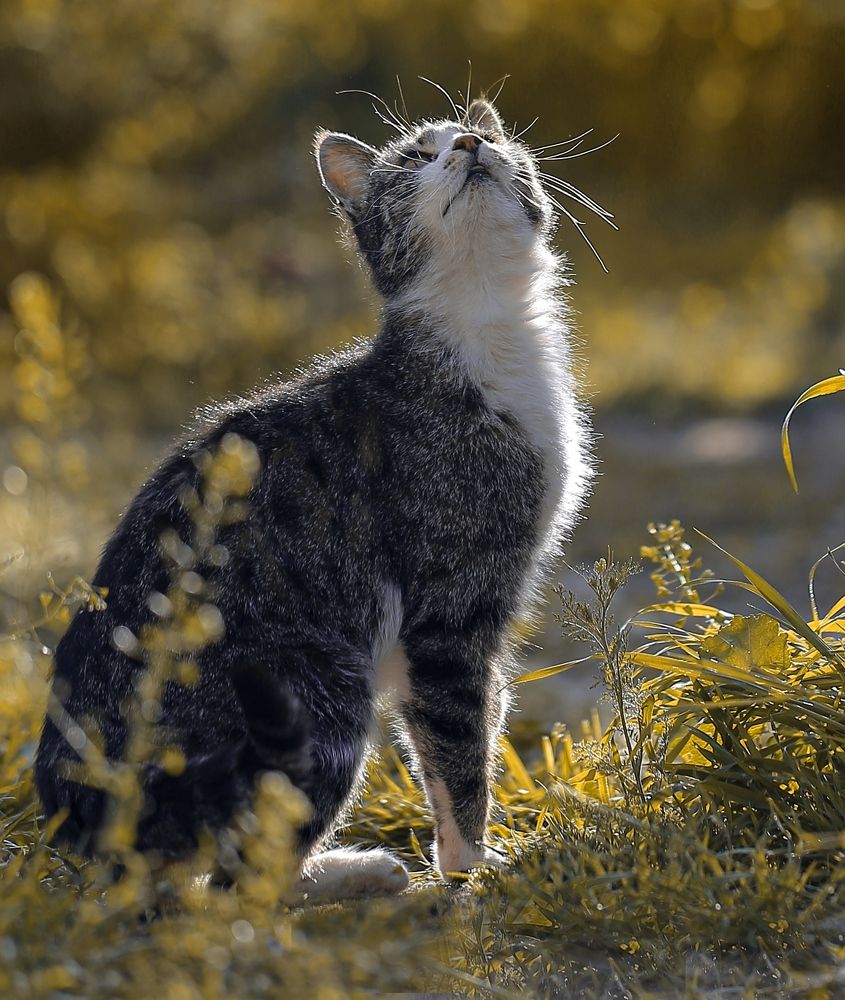 Photograph by Esin Sağır
