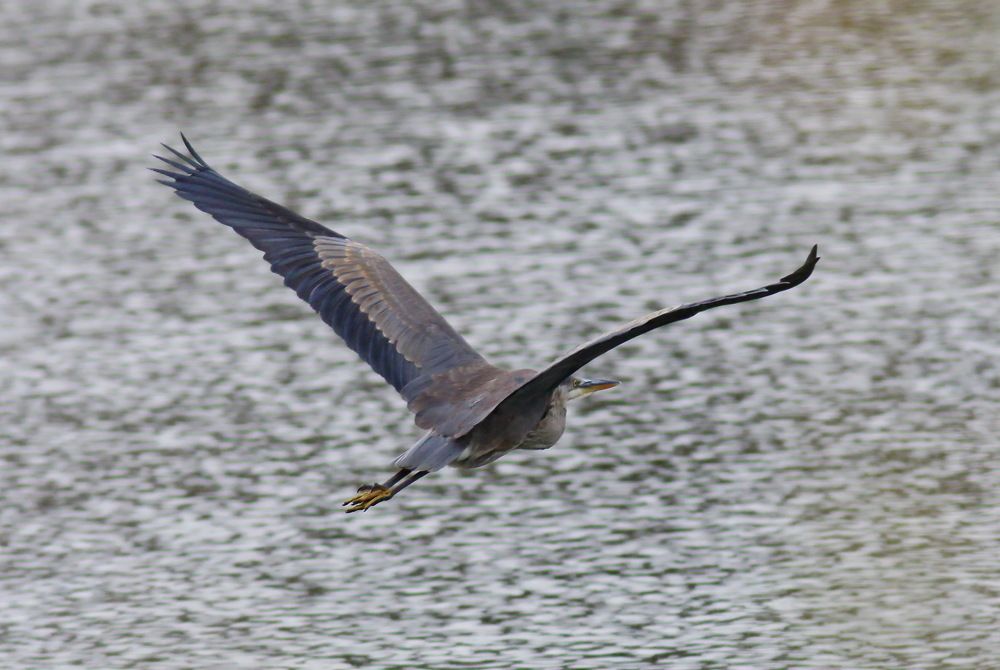 Photograph by Sergey Bykov