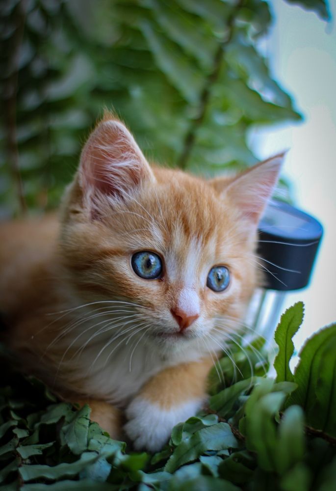 Photograph by Светлана Солдатченкова