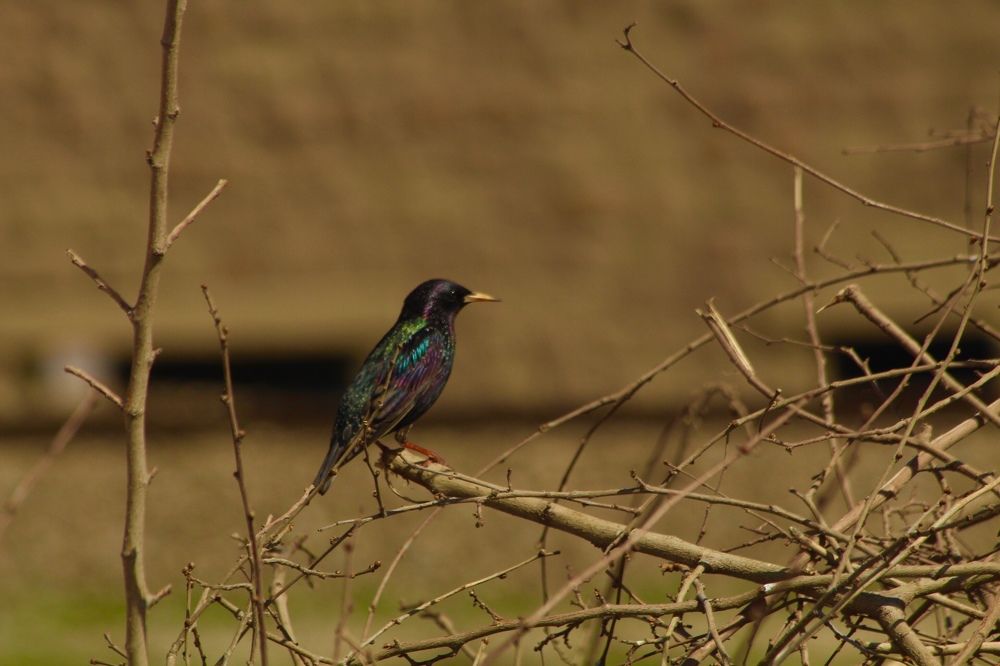 Фотография автора Elyas Iranmanesh