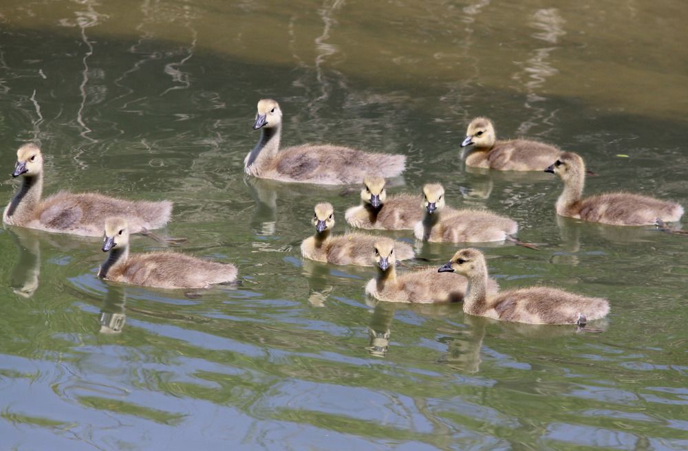 Photograph by Sergey Bykov