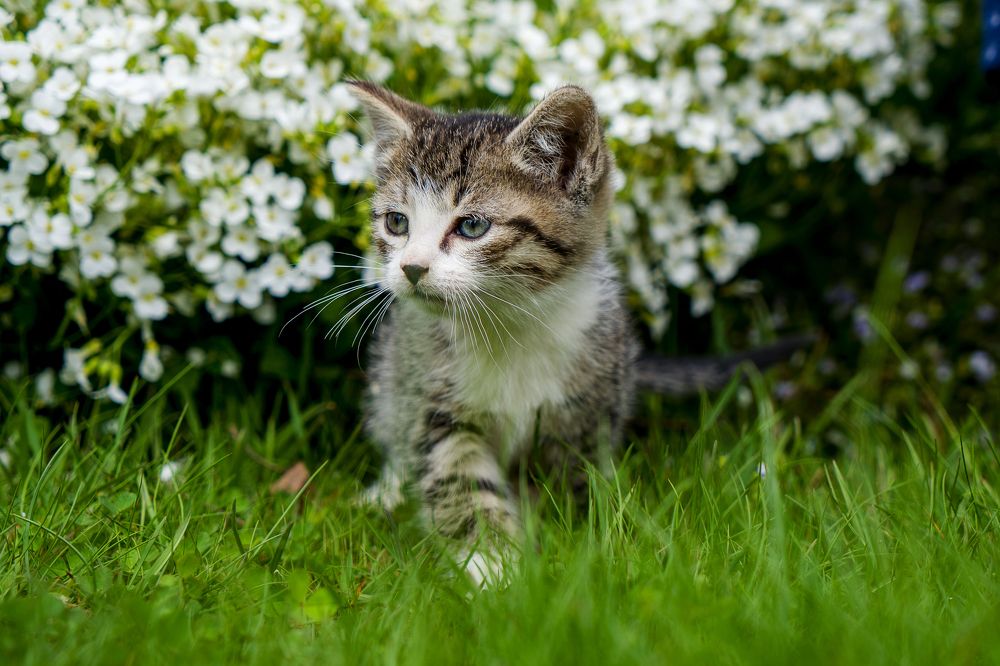 Photograph by Марина Вильдяева