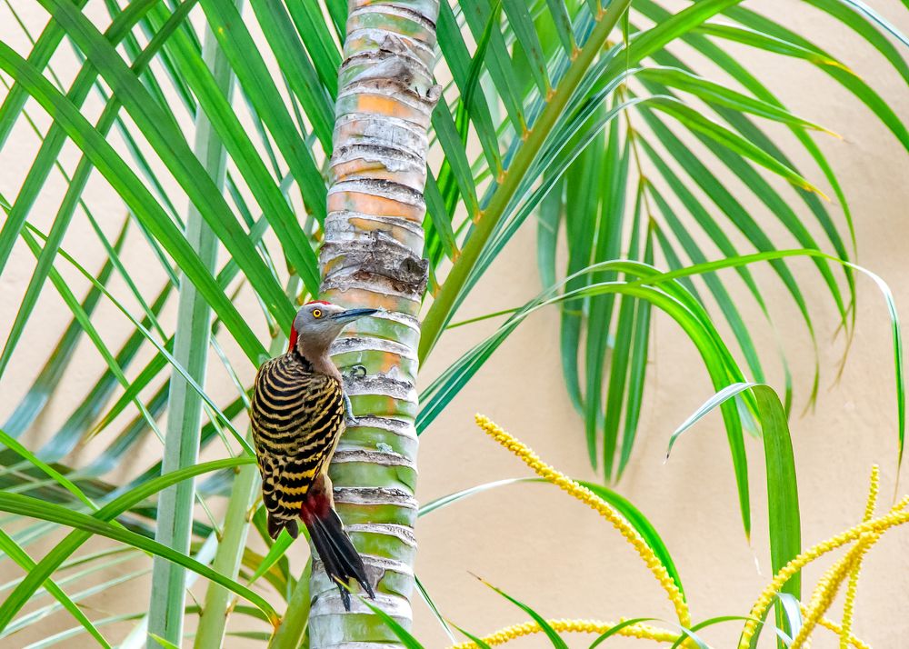 Photograph by Александр Козин