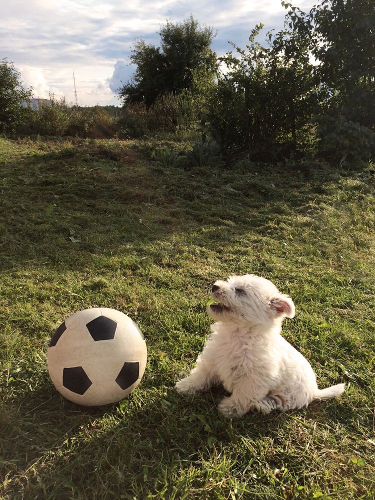 Фотография автора Мария Амбражевич