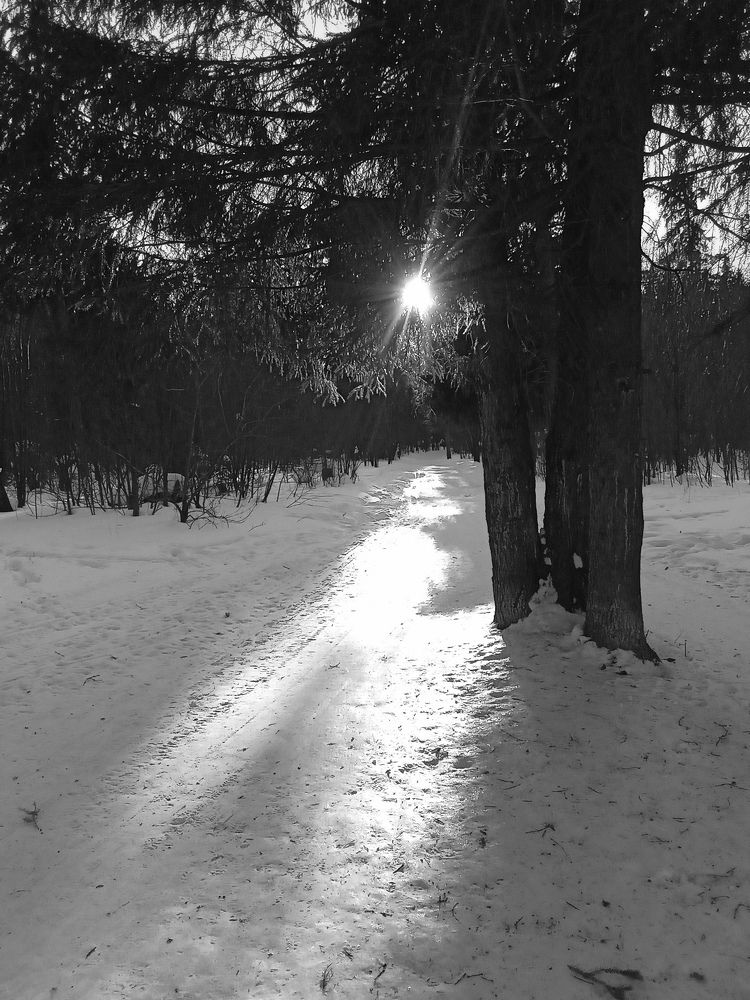 Photo #7627527