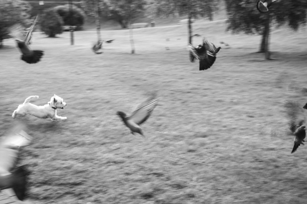 Фотография автора Мария Амбражевич