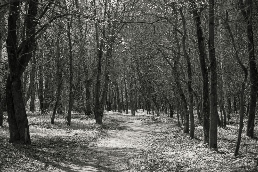 Фотография автора Войнов Дмитрий