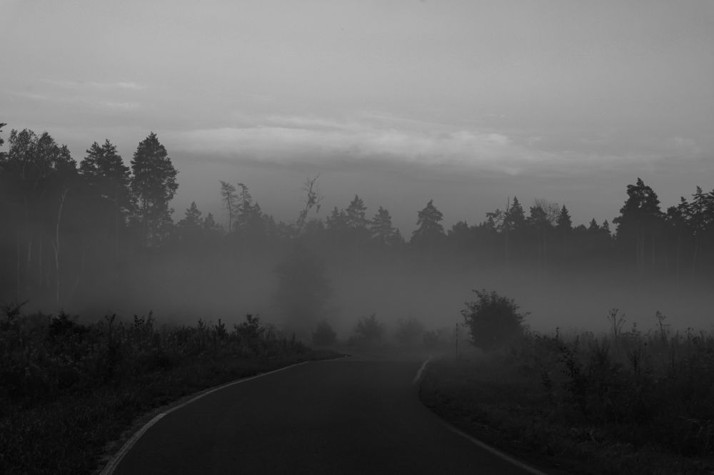 Photograph by Илья Пономарев