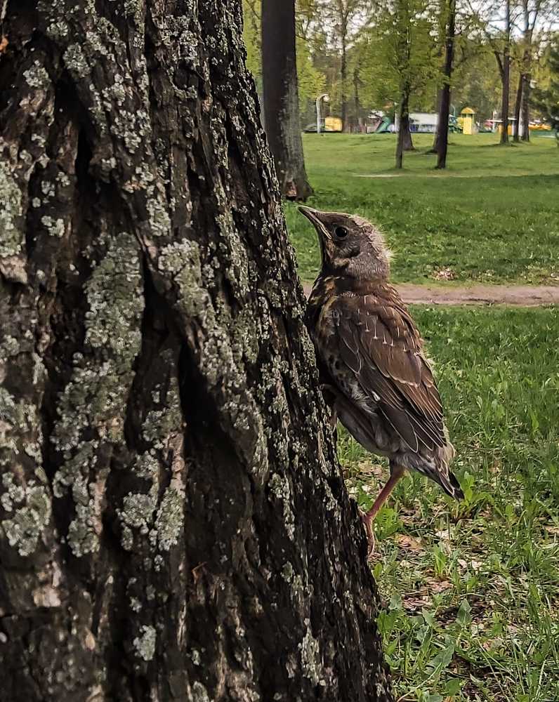 Photograph by Ксения Илюшина