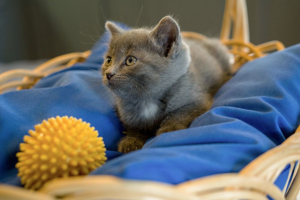 Photograph by Марина Вильдяева