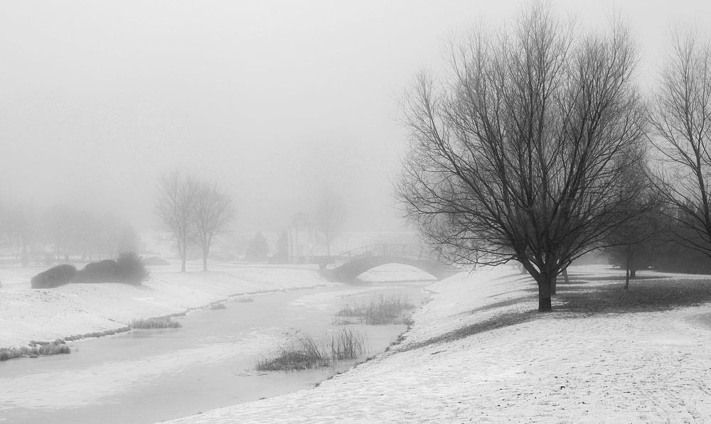 Photograph by Ольга