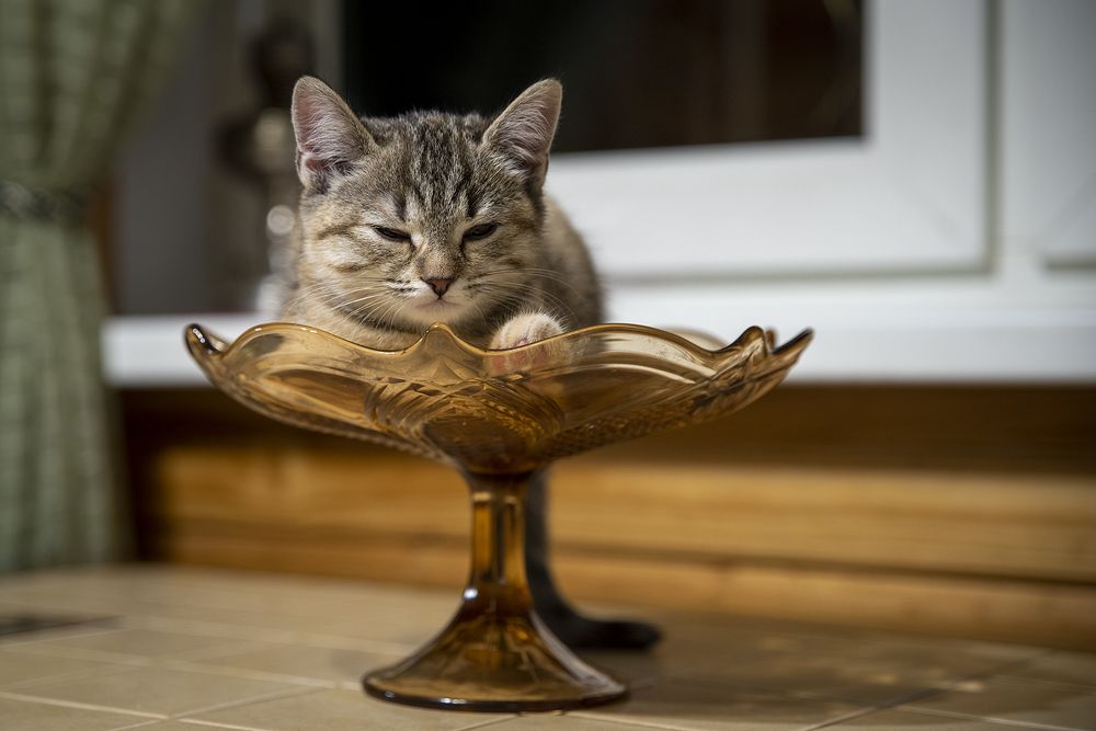 Photograph by Денис Сидоров