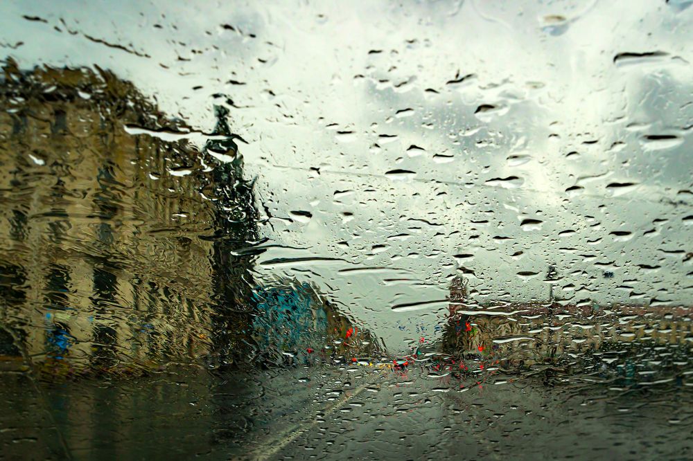 Дождливый Невский