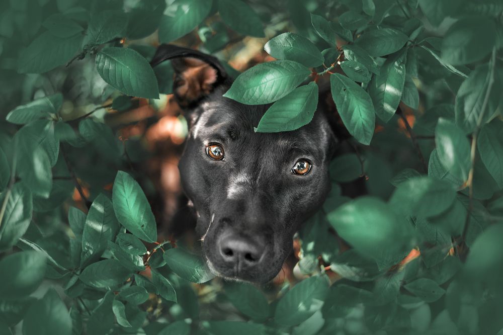 Photograph by Ольга Овчинникова