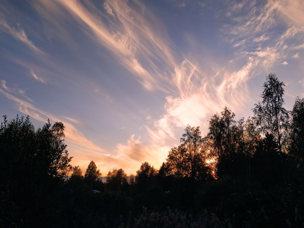 Photograph by Наталья Романова