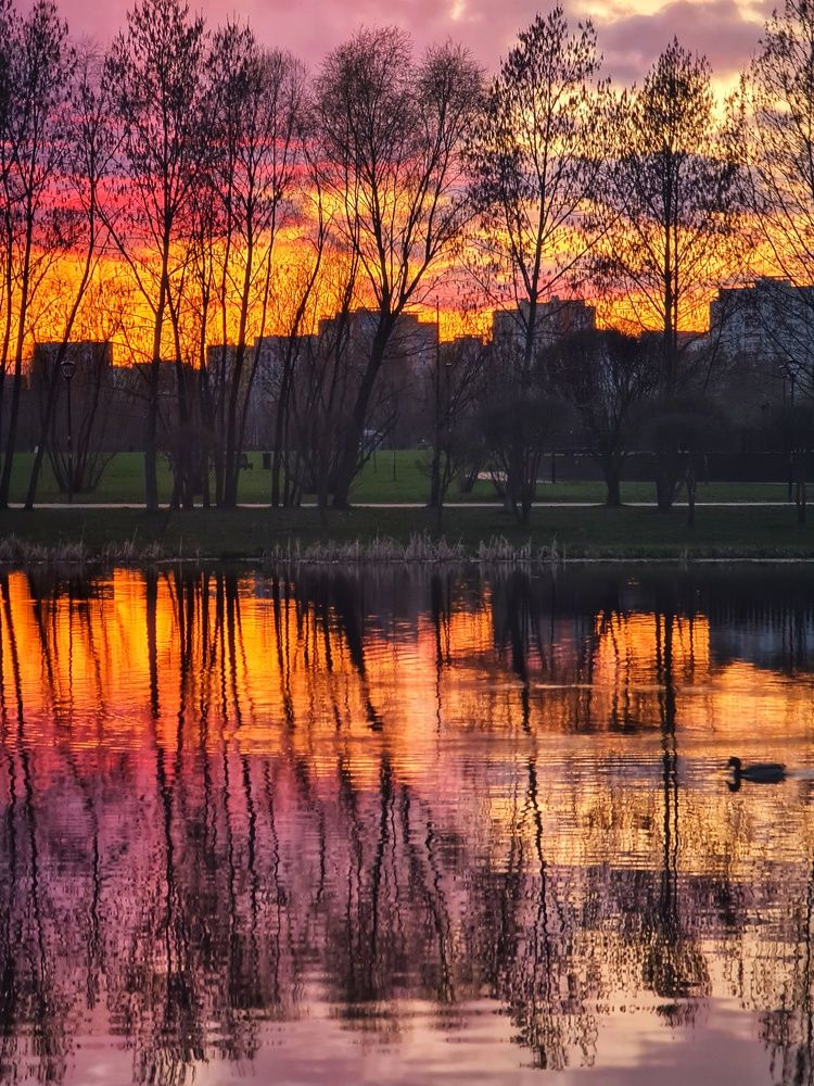 Мир в половинках