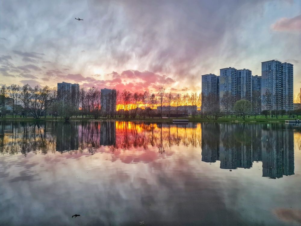 Мир в половинках