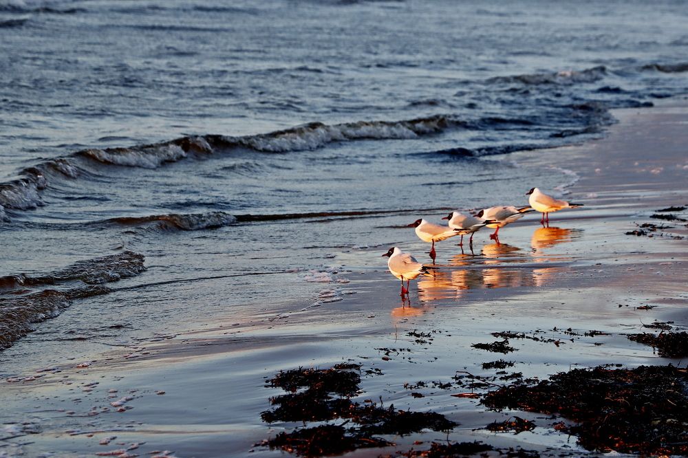 Фотография автора Сергей Барановский