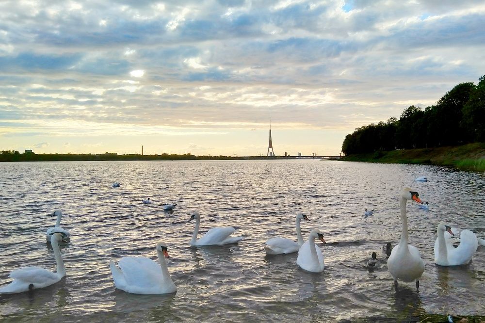 Фотография автора Сергей Барановский