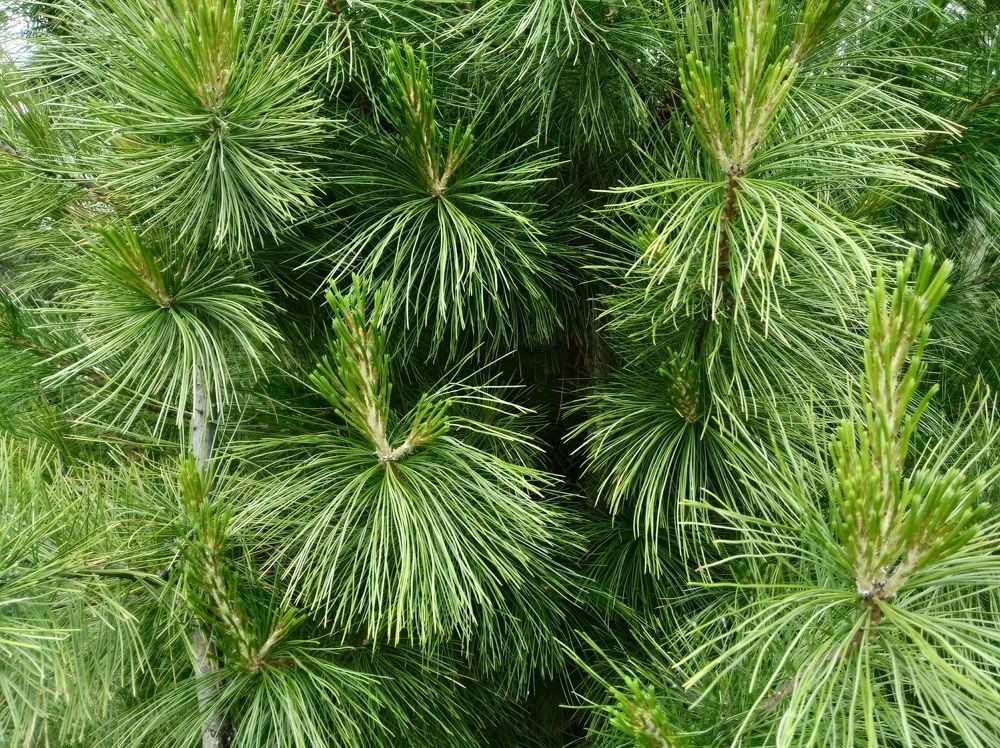 Photograph by Анатолий Майдуров