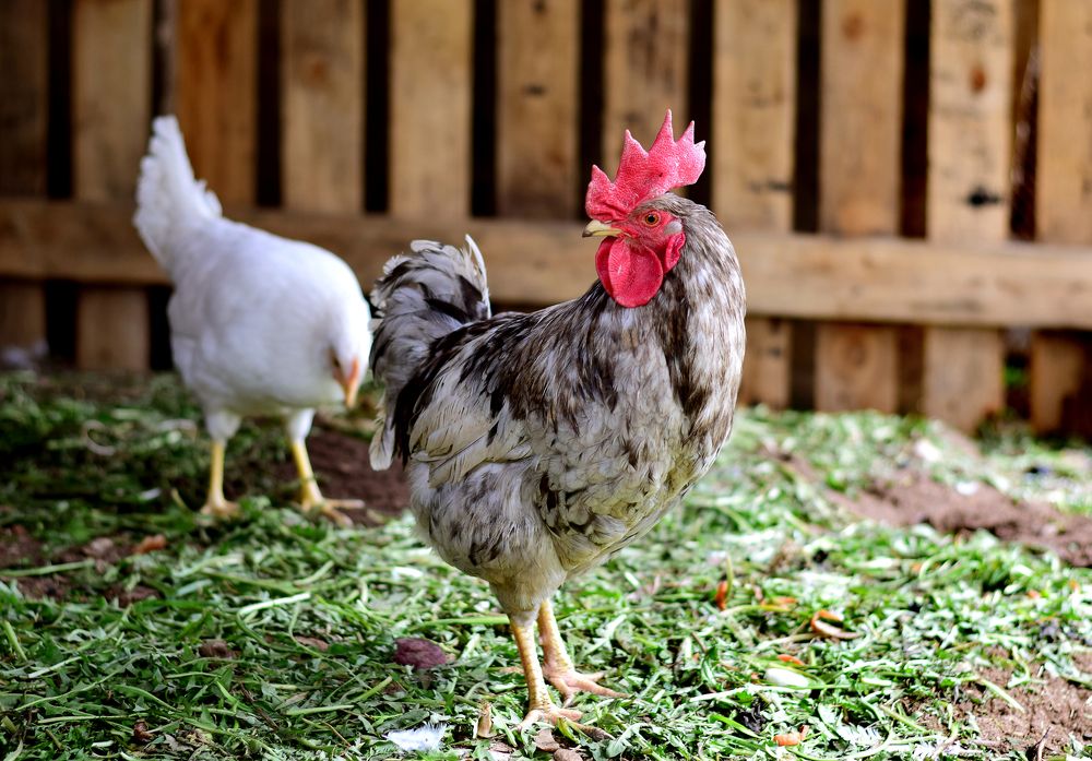 Фотография автора Оксана Льдинина