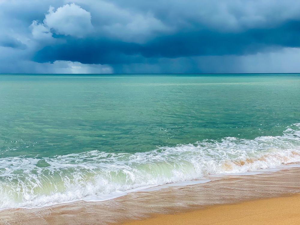 Photograph by Leonor