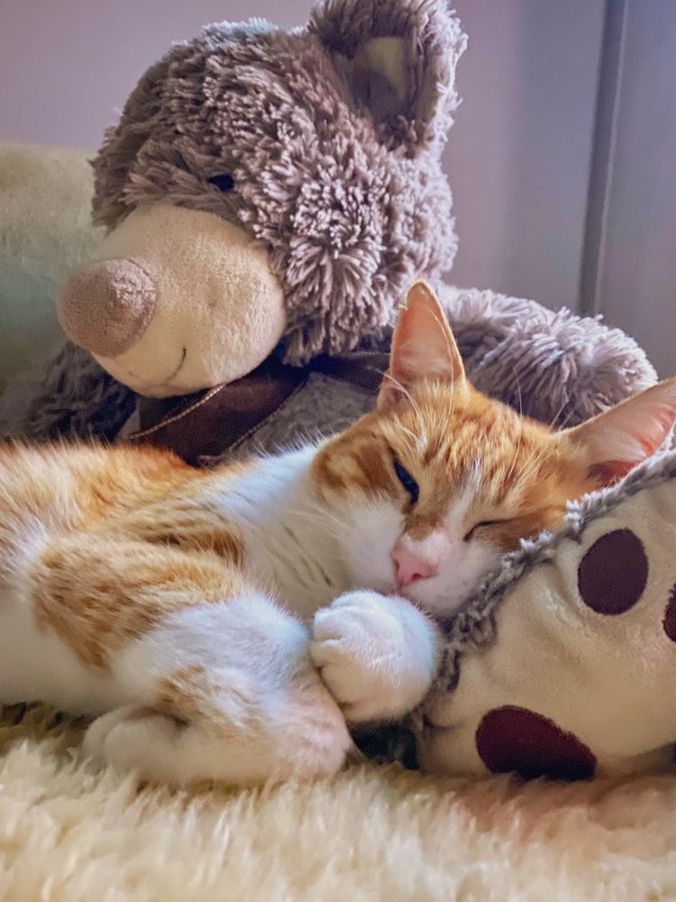 Photograph by Leonor