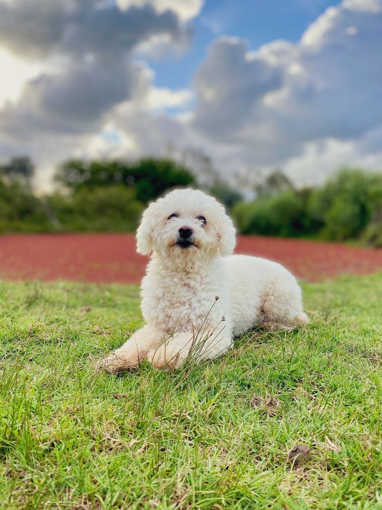 Photograph by Leonor