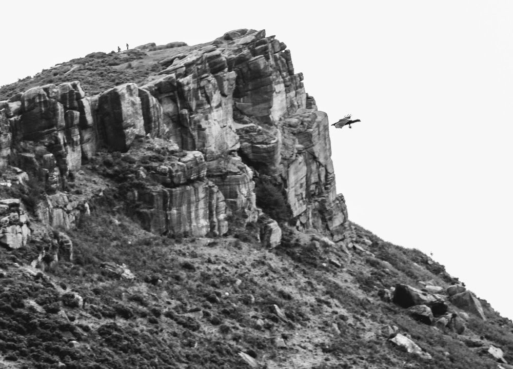 Photograph by Brian Egerton