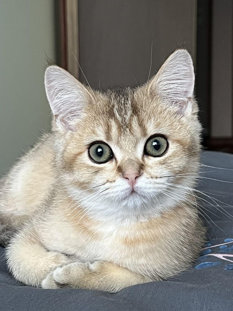 Photograph by Маргарита Миллер