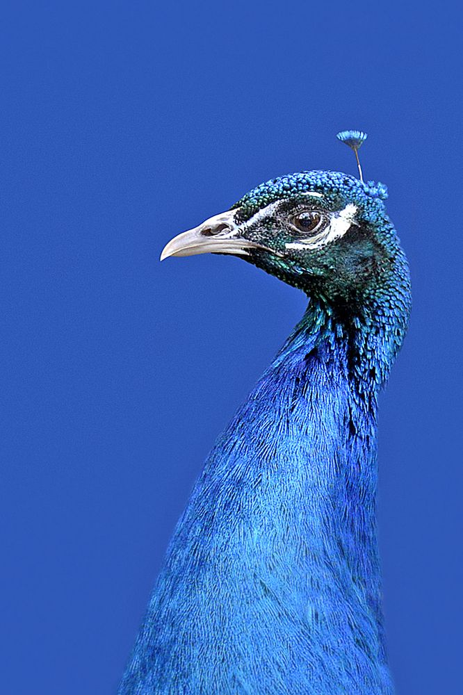 Photograph by Варвара Штерн