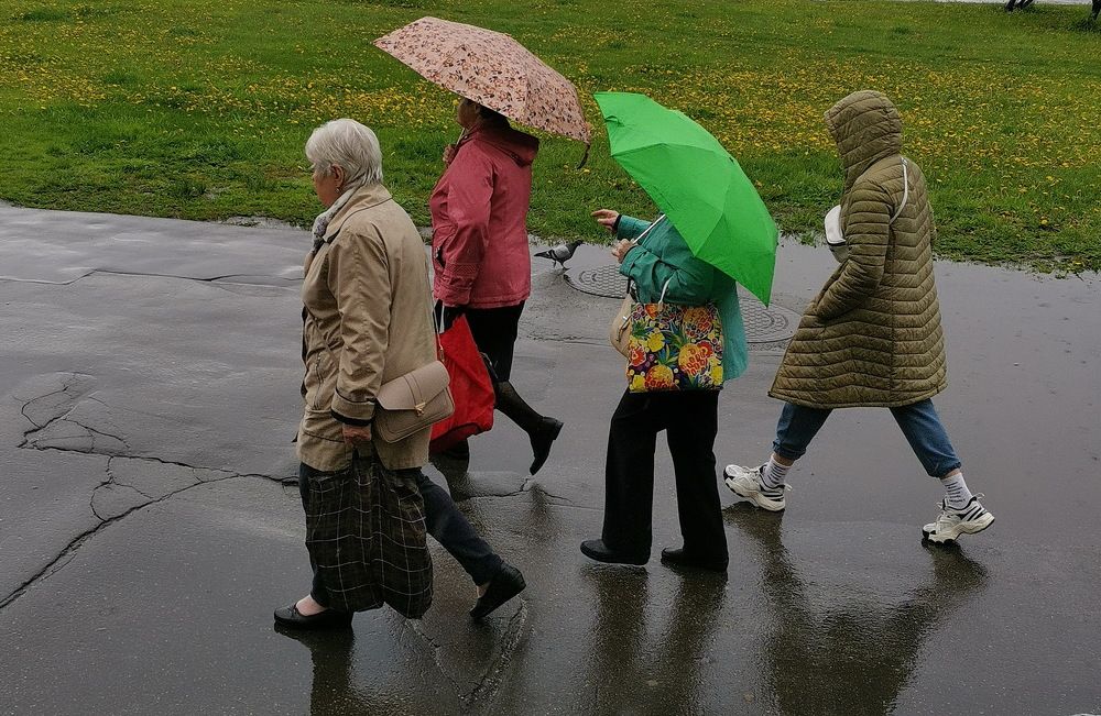 Фотография автора АЛЕКСАНДР ЦЫГЕЛЬНЮК