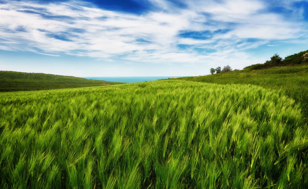 Photograph by Станислав Илюк