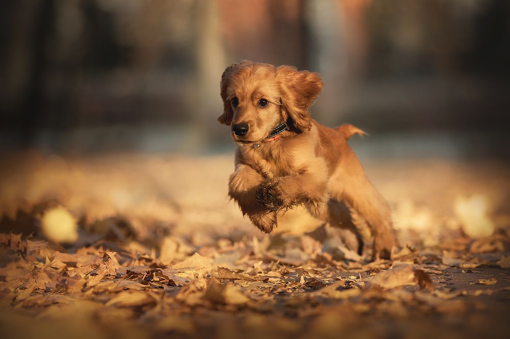 Photograph by Ирина Леонова