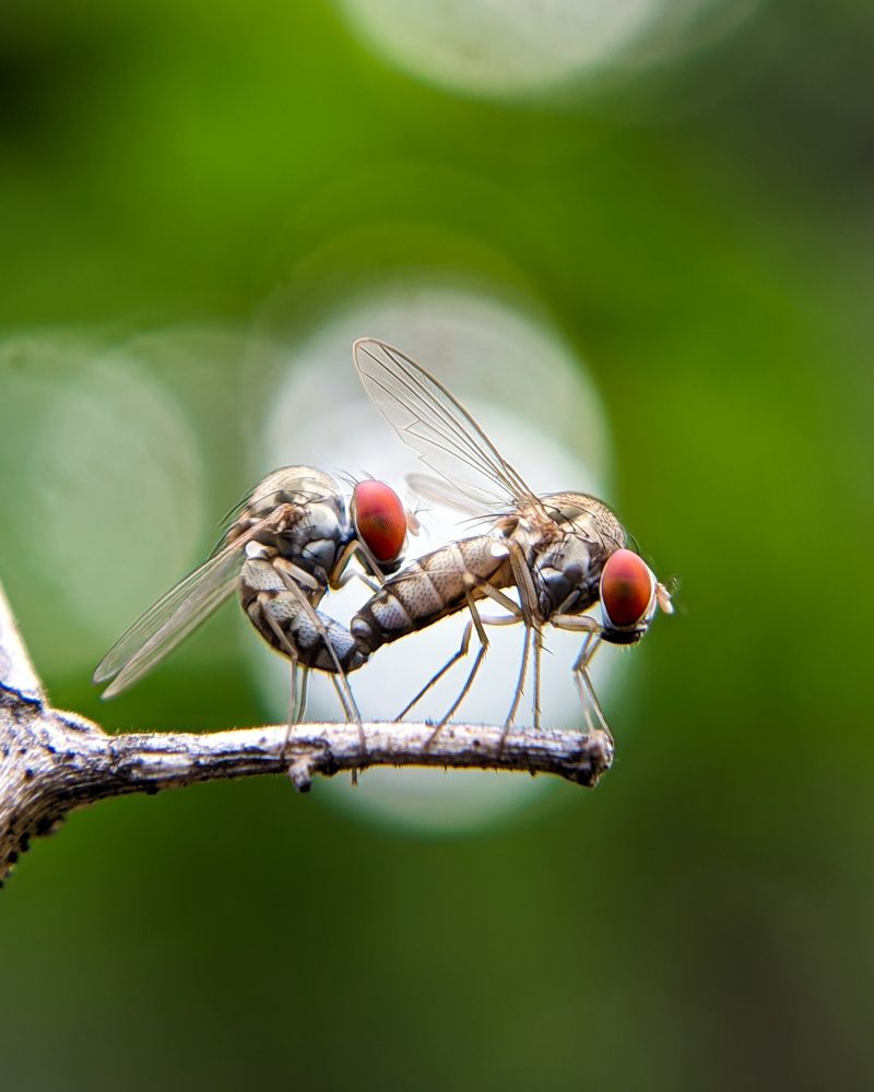 Photograph by Ajeesh A